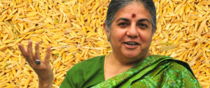 Vandana Shiva La Primera Enemiga De Monsanto